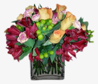 Grand Colors - Garden Roses