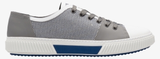 Skate Shoe