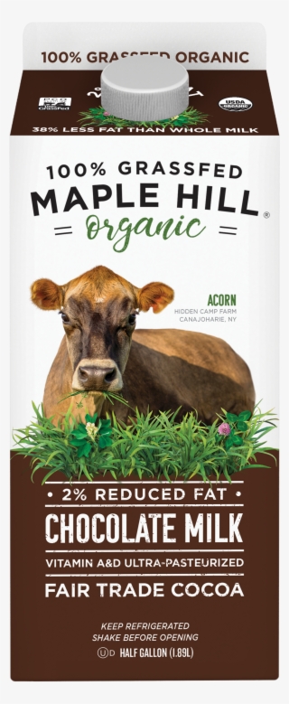 Organic Chocolate Milk - Maple Hill Chocolate Milk