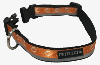 Miami Dolphins Dog Collar - Strap