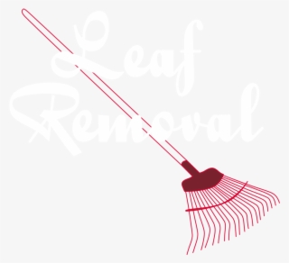 Red's Services - Race Card