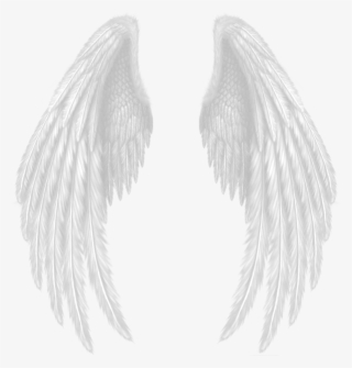 Imagem De Asas Para Picsart
