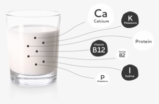 Với Hàm Lượng Dinh Dưỡng Dồi Dào, Sữa Bò Tươi Đóng - Diet Soda