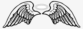 960 X 480 24 - Angel Wings Vector Png