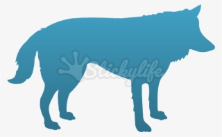 Dog Catches Something