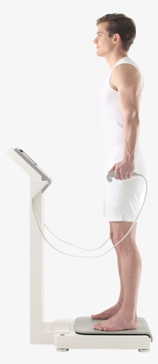 How Segmental Analysis Works - Composición Corporal Png