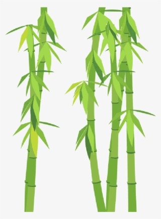 Go To Image - Bamboo
