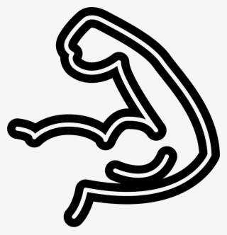 Png File Svg - Transparent Background Muscles Clipart
