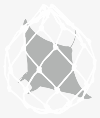 Threats Icons Bycatch White - Mesh