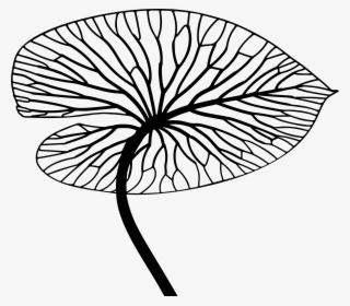 This Free Icons Png Design Of Detailed Leaf Line Art