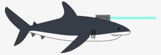 An Update Drawing Of Our Hypothetical Shark - Great White Shark