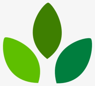 This Free Clip Arts Design Of Leaf Png