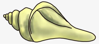 Cartoon Sea Snail Clip Art - Cartoon Conch
