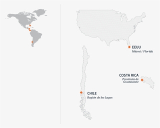 Tenemos Operaciones En Más De 180 Puntos Geográficos - Map