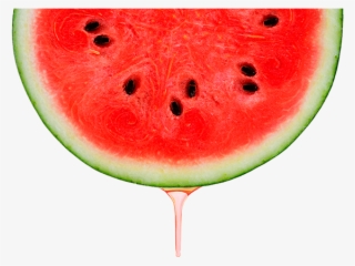 Enjoy Life & Enjoy Sensory Experiences - Watermelon