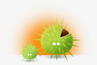 Who Is Behind Pimple - Field Marigold