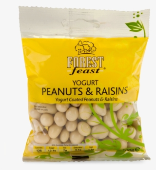 Yogurt Peanuts Raisins - Forest Feast