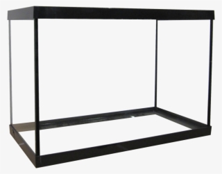 20 Gallon High Aquarium