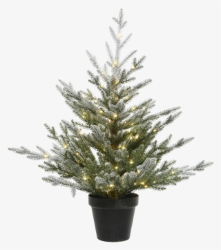 Christmas Tree In A Pot, With Led Lighting, - Houseplant