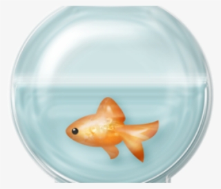 Fish Bowl Clipart Empty Fish Tank - Aquarium