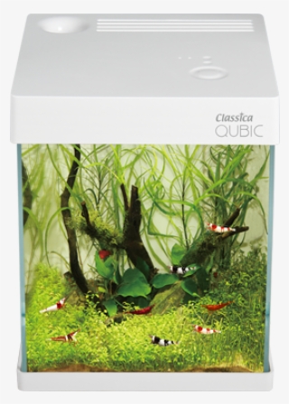 Aquarium