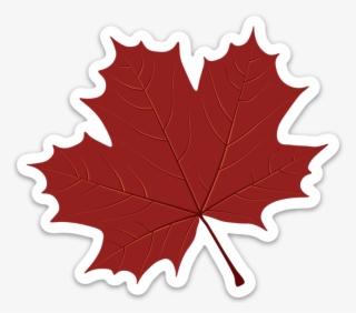 Maple Leaf Sticker - Maple Leaf Transparent Png