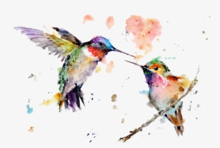 Watercolor Art Painting Drawing Hummingbird Free Transparent - Kolibri Aquarell
