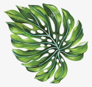 Palm Leaf Palmtrees Palmtree Freetoedit - Tropical Palm Leaves Art