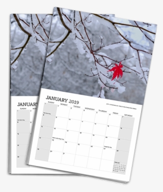 2-pack 2019 Calendar - Tree