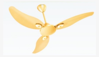 Lerone Husky-650x500 - Png - Ceiling Fan