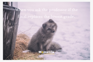 🎓 Mometrix Test Prep On Twitter - Znacenje Imena Vukasin