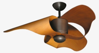 Indoor/outdoor Oil Rubbed Bronze Ceiling Fan - Ceiling Fan
