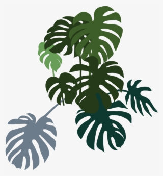 Monstera Bunch Left - Decoração Minimalista Com Plantas