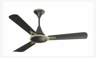 Ceiling Fan