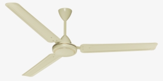 Range Ceiling Fan - Ceiling Fan