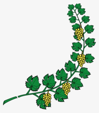 747 X 852 6 - Grape Vine Coat Of Arms