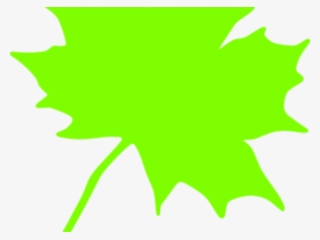 Green Leaves Clipart Cartoon - Parcc
