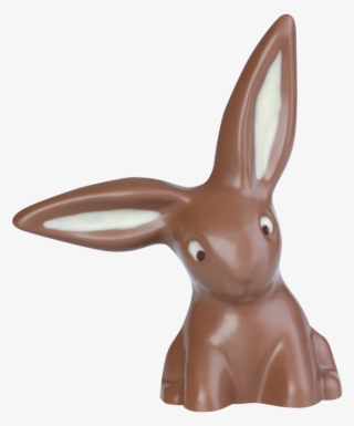 Rabbit With Hanging Ears - Domestic Rabbit