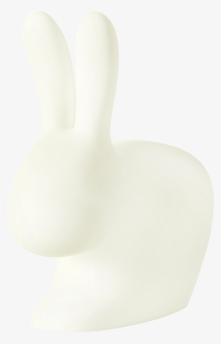 Domestic Rabbit