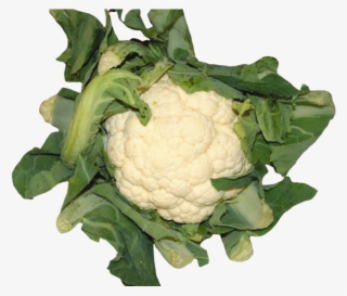 Cauliflower Png Image - Cauliflower