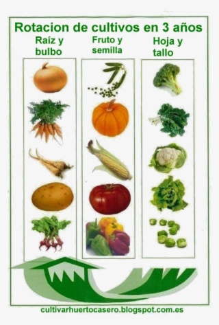 Set Up Separate Sections For All Three Crop Types And - Crop Rotation Diagram