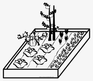 Vegetable Garden Coloring Page - Vegetable Garden Icon
