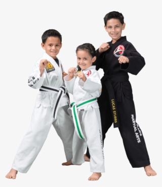 Spicars Martial Arts Kids Program Southlake Texas - Wushu Indian Kids