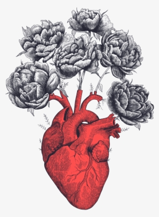 700 X 905 2 - Human Heart Lockscreen