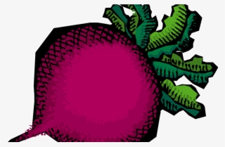 Free Vegetable Garden Clipart, Download Free Clip Art, - Vegetable Clip Art Transparent