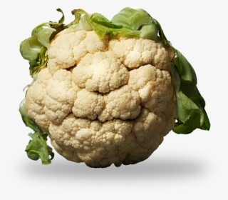 The Cauliflower - Cauliflower