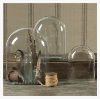 Oval Glass Domes/ - Glass