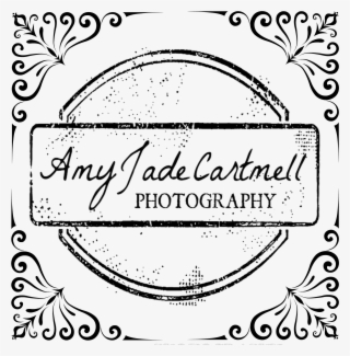 Ajc Logo - Squat Substitutes