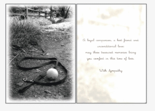 Cherished Pet Memories - Eurasian Magpie