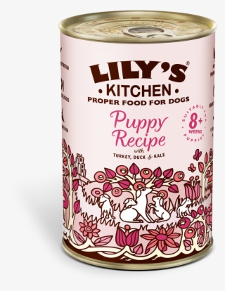 Lily's Kitchen Recovery Recipe
